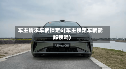 车主请求车辆锁定6(车主锁定车辆能解锁吗)